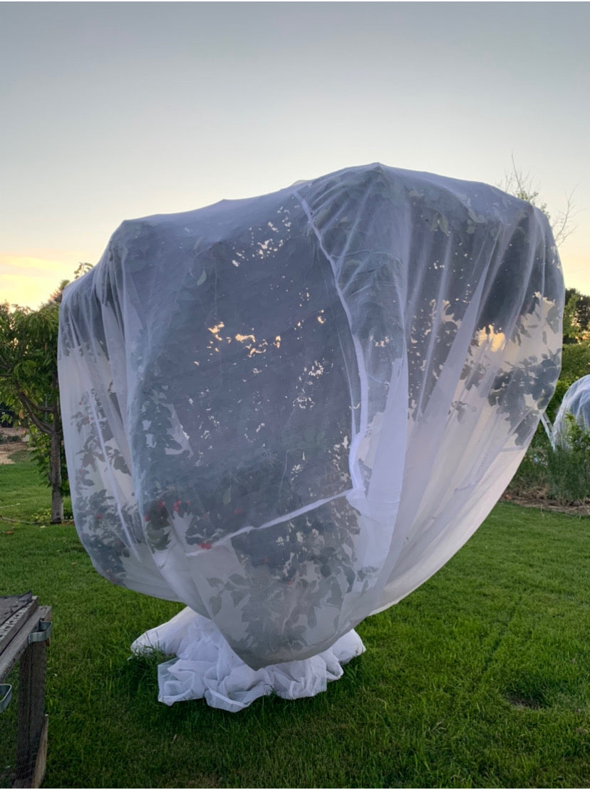 Kootenay Cover 10ft cube Fruit Tree Covers