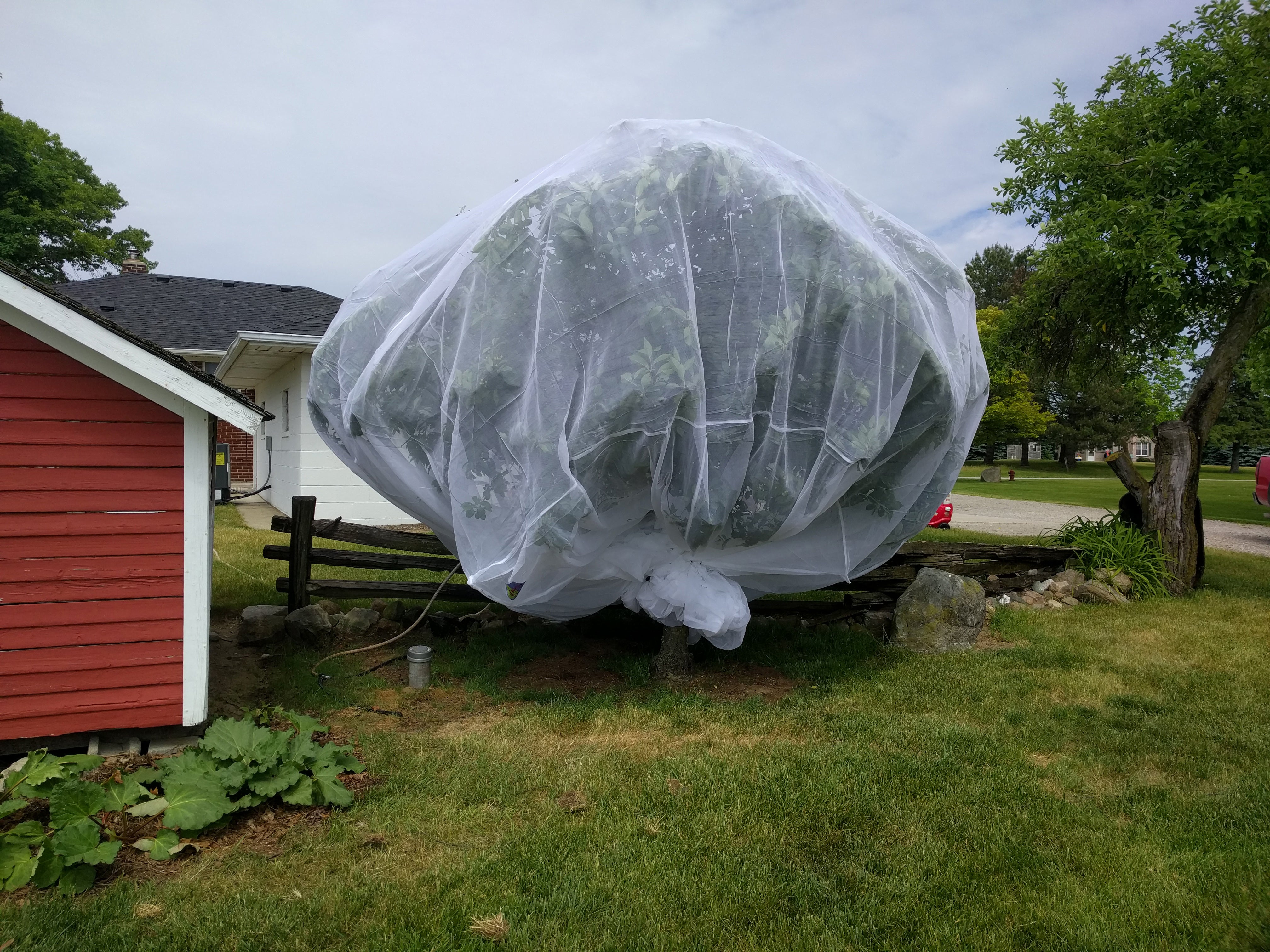 Kootenay Cover 14ft cube – Fruit Tree Covers